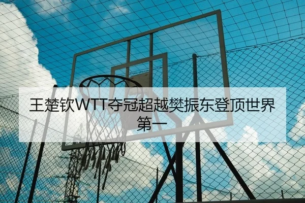 王楚钦WTT夺冠超越樊振东登顶世界第一